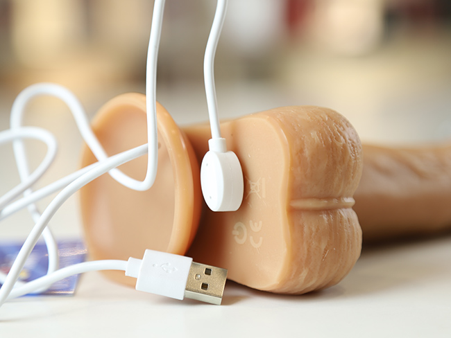  Kho sỉ We-vibe Chorus rung 2 đầu không giới hạn thương hiệu cao cấp từ Canada hàng xách tay