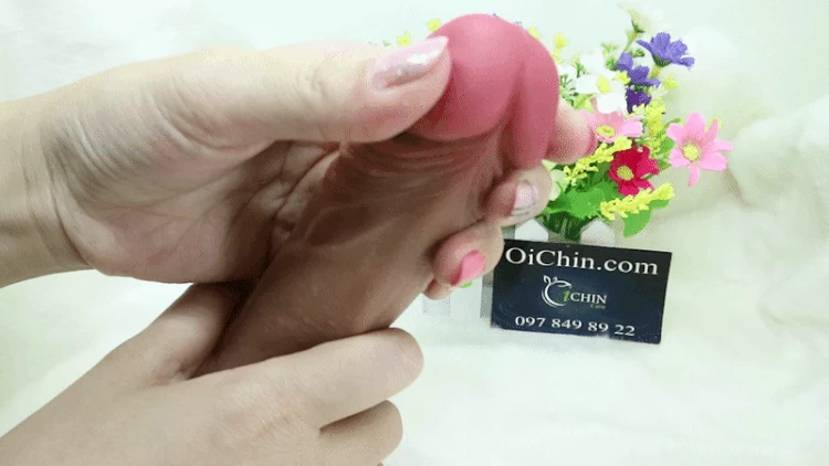  Kho sỉ Dương vật giả SEXTOYS không rung gắn tường chuẩn size châu Á loại tốt