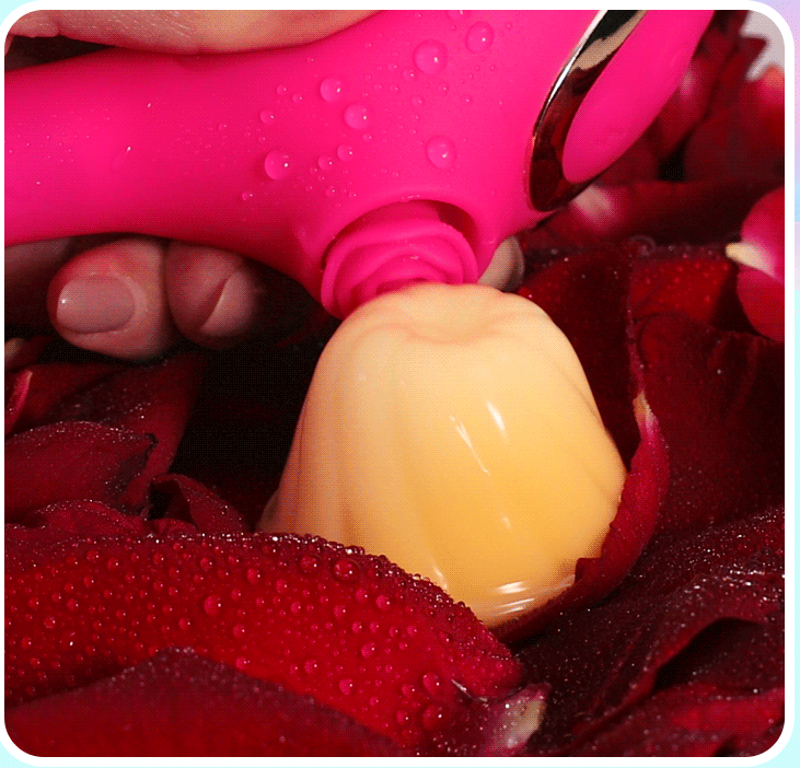  Kho sỉ Loving World Rose Thumping cao cấp