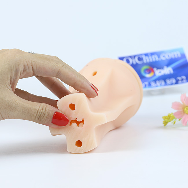  Bán Pussy Vibration rung 7 chế độ từ nhẹ tới mạnh giá sỉ