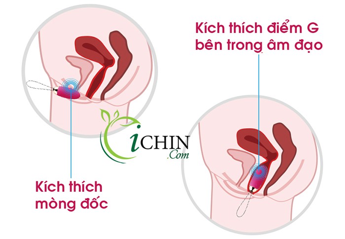 Cung cấp Svakom Elva 26 kiểu rung thông minh tự động tốt nhất