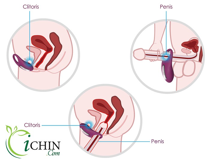  Sỉ Svakom Winni cao cấp điều khiển từ xa chính hãng USA loại tốt