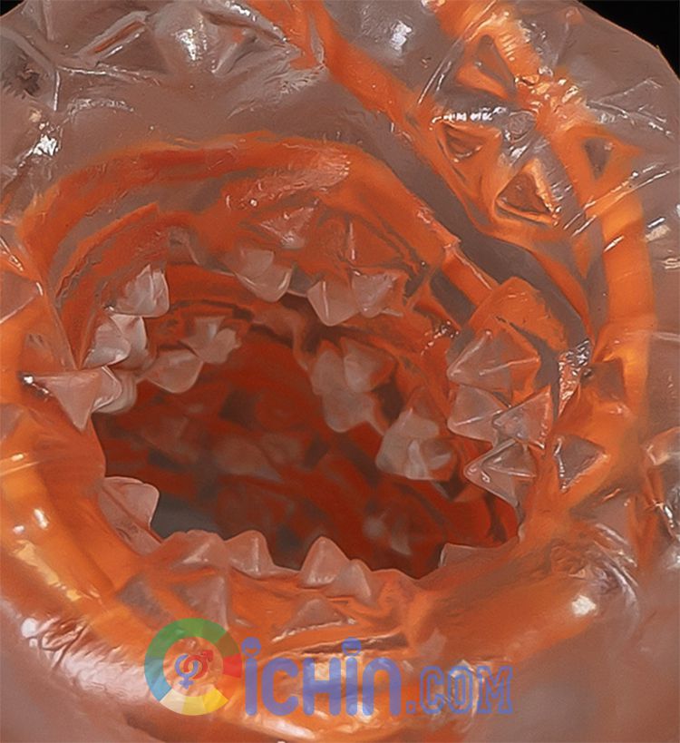 Cung cấp Tenga Spinner xoắn ốc 6 kiểu dáng độc đáo nhập khẩu Cung cấp Tenga Spinner xoắn ốc 6 kiểu dáng độc đáo nhập khẩu